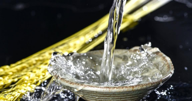 哈爾濱你一定想象不到食品生產(chǎn)線，有SWISA的一份功勞！